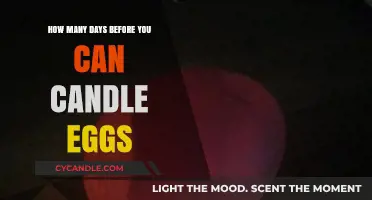 Candling Eggs: Timing Tips for Checking Embryo Development