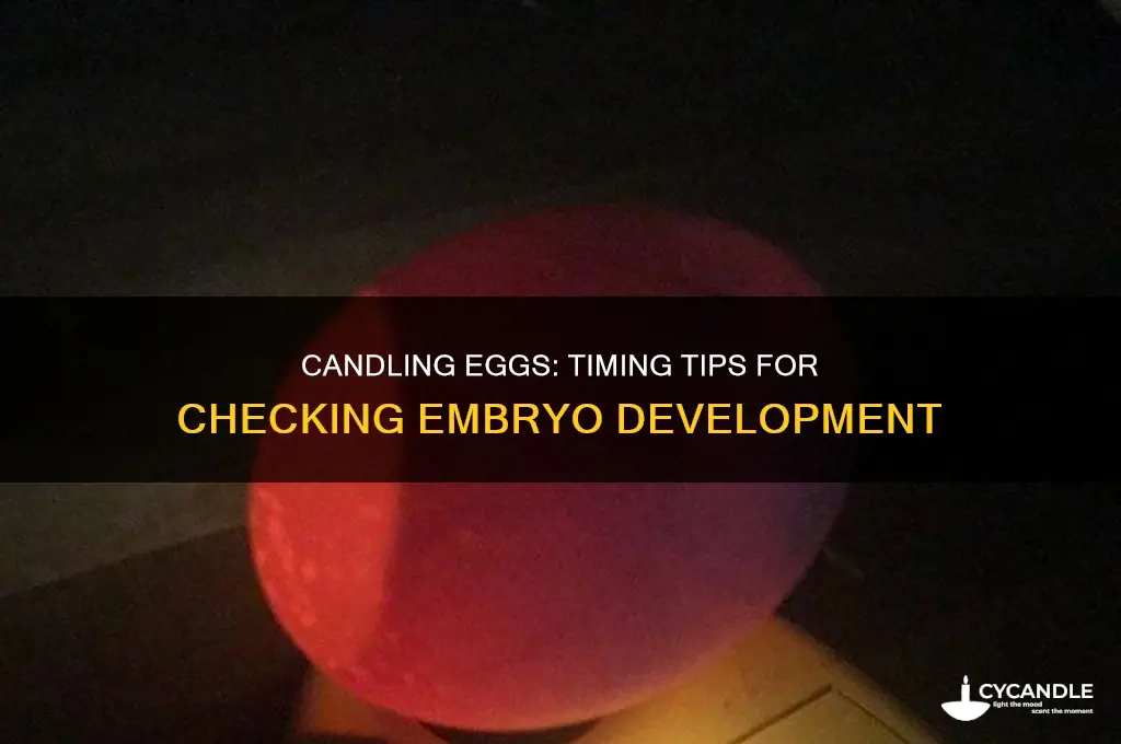 how many days before you can candle eggs