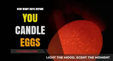 Candling Eggs: The Best Time to Start
