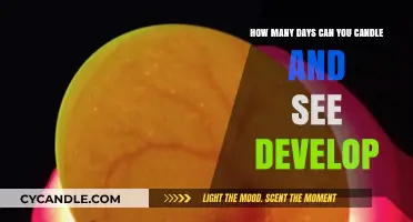 Candling Eggs: Optimal Days to Observe Embryo Development Clearly