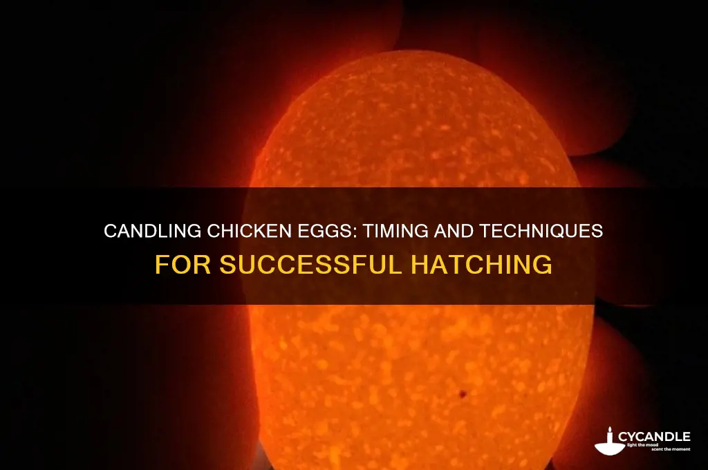 how many days until you can candle a chicken egg