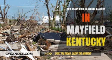 Kentucky Mayfield: Deadly Tornado's Devastating Death Toll