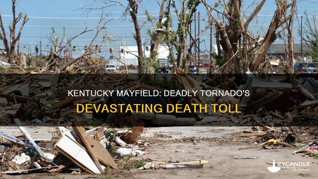 how many died in candle factory in mayfield kentucky