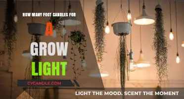 Optimal Foot Candles for Grow Lights: A Comprehensive Guide