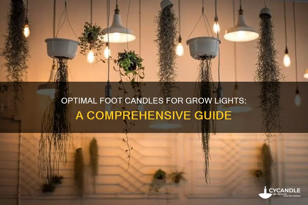 how many foot candles for a grow light