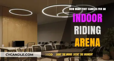 Brighten Your Indoor Riding Arena: Foot-Candles Explained