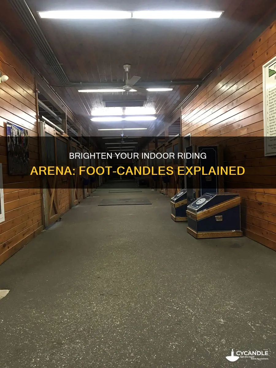 how many foot candles for an indoor riding arena
