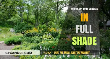 Foot Candles: Understanding Full Shade Lighting