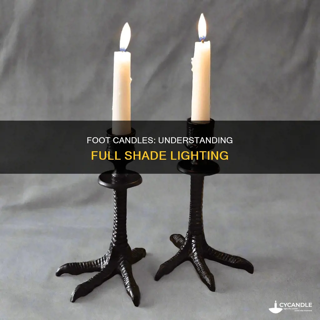 how many foot candles in full shade