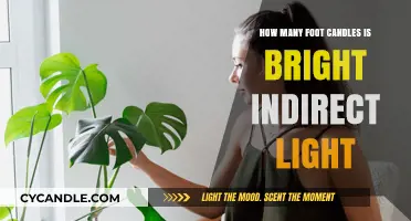Bright Indirect Light Explained: Understanding Foot Candles for Optimal Illumination