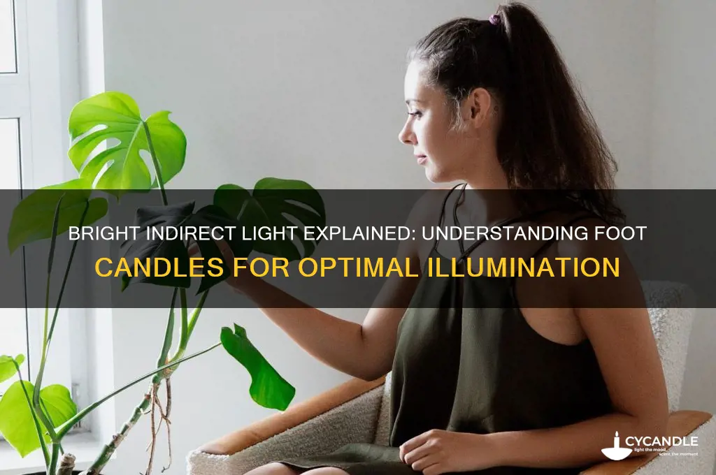how many foot candles is bright indirect light