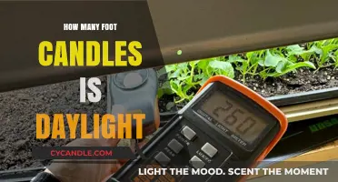 Daylight's Foot Candles: How Bright is it?