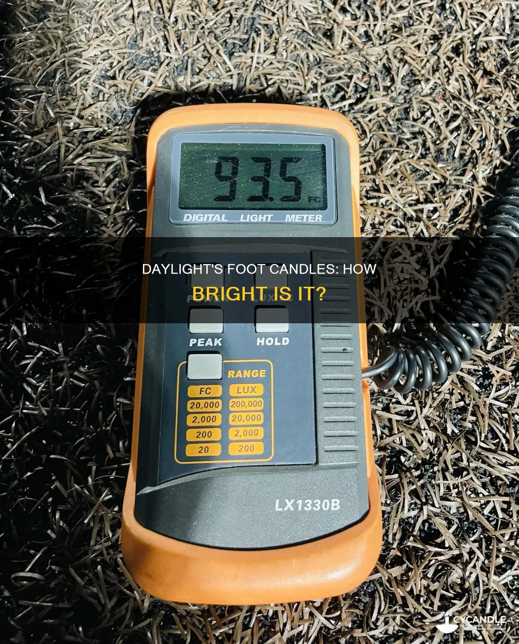 how many foot candles is daylight
