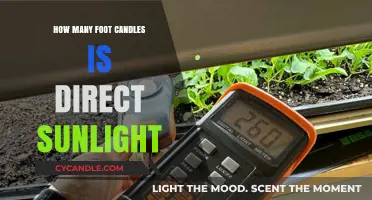 Sunlight's Surprising Foot Candles: How Bright Is It?