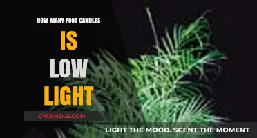 Understanding Low Light: Foot Candles Measurement and Practical Applications