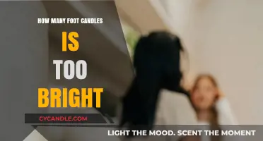 Bright Lights: Foot Candles and Their Optimum Levels