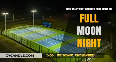 Full Moon Illumination: Measuring Foot Candles on a Moonlit Night
