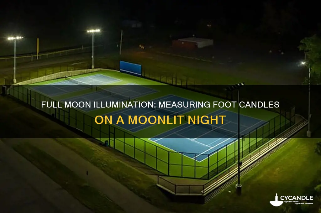 how many foot candles poof light on full moon night