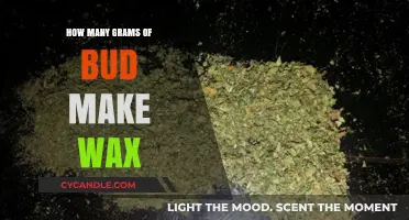 Converting Bud to Wax: Understanding the Grams Ratio