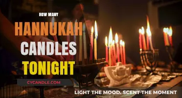 Lighting the Menorah: How Many Candles for Hanukkah Tonight?