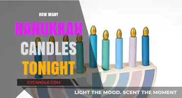 Lighting the Menorah: Hanukkah Candles for Tonight