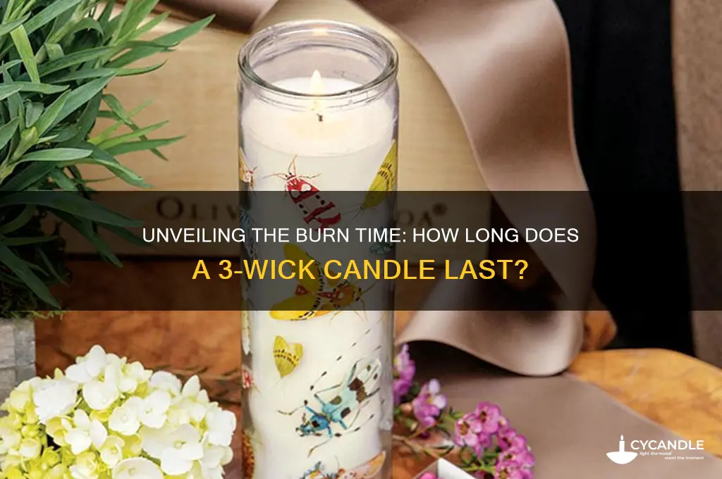 how many hours in a 3 wick candle