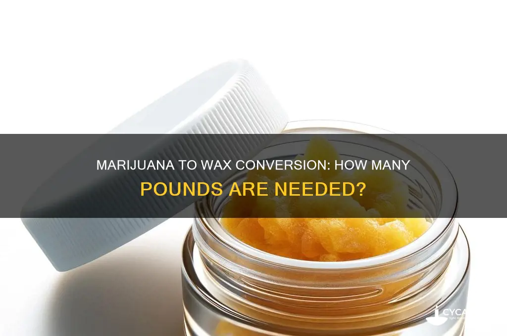 how many lbs of marijuana to make wax