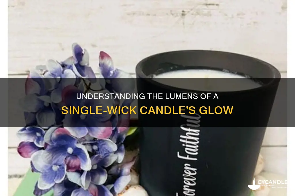how many lumen is a 1 wick candles