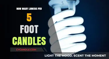 Lumens and Foot Candles: Understanding the Conversion
