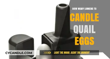 Candling Quail Eggs: Lumens for Hatching Success