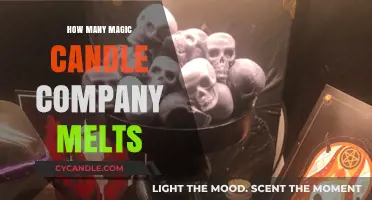 Exploring the Many Scents of Magic Candle Company Melts