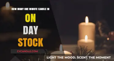 Stock Market's One-Minute Candles: A Day's Worth