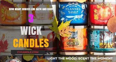 Bath & Body Works 3-Wick Candle Size: Ounces Revealed