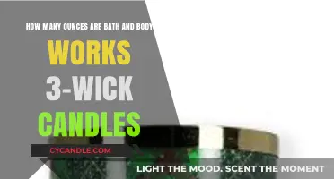 Bath & Body Works 3-Wick Candle Size: Ounces Revealed
