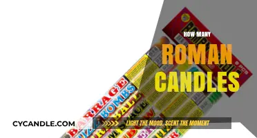 Explosive Fun: Roman Candles for a Sparkling Display