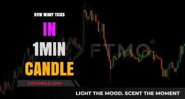 Exploring the Intricacies of 1-Minute Candles: Tick Talk