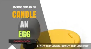 Candling Eggs: How Often Can You Safely Check for Fertility?