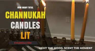 Lighting Up the Festival of Lights