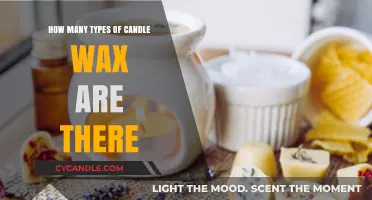 Exploring the Diverse World of Candle Wax Types and Varieties