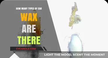 Exploring the Surprising Diversity of Ear Wax Types