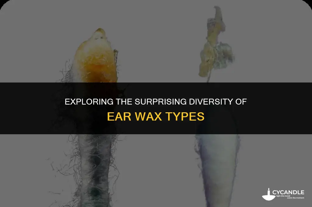 how many types of ear wax are there