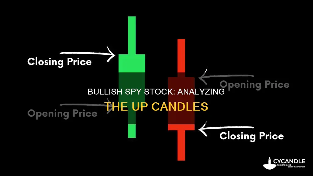 how many up candles are there in spy stock