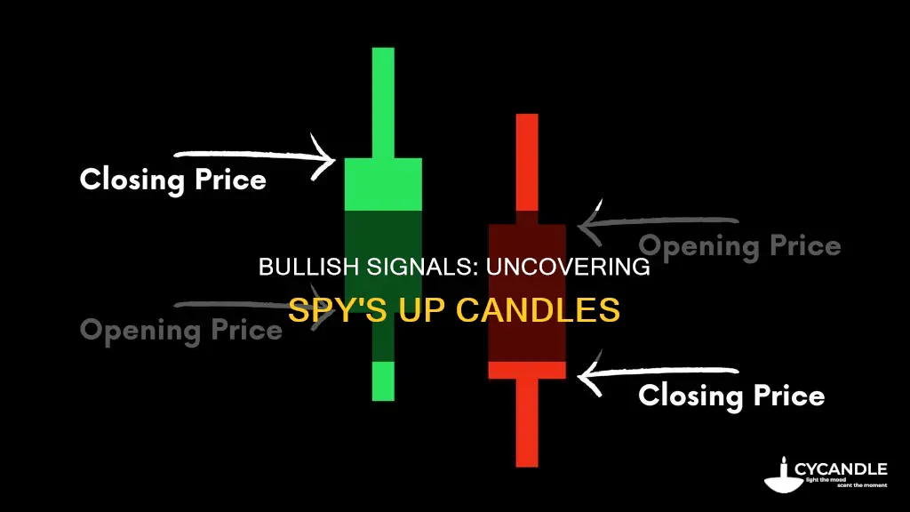 how many up candles are there in spy