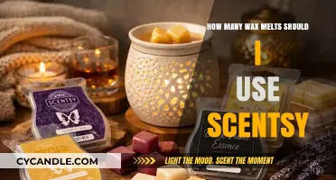 Unleashing the Perfect Scent: A Guide to Scentsy Wax Melts Usage