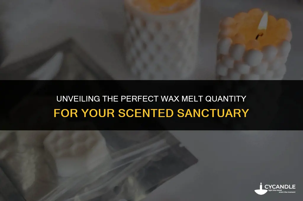 how many wax melts to use