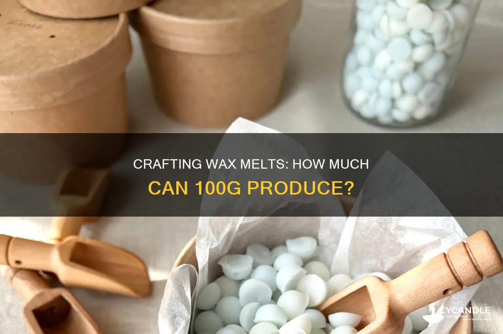 how many wax melts will 100g make