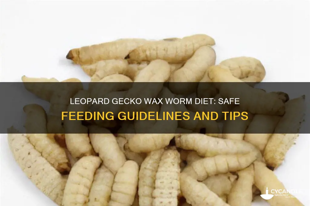 how many wax worms can a leopard gecko eat