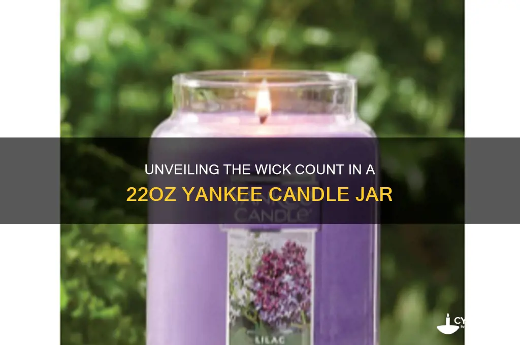 how many wicks in 22oz yankee candle