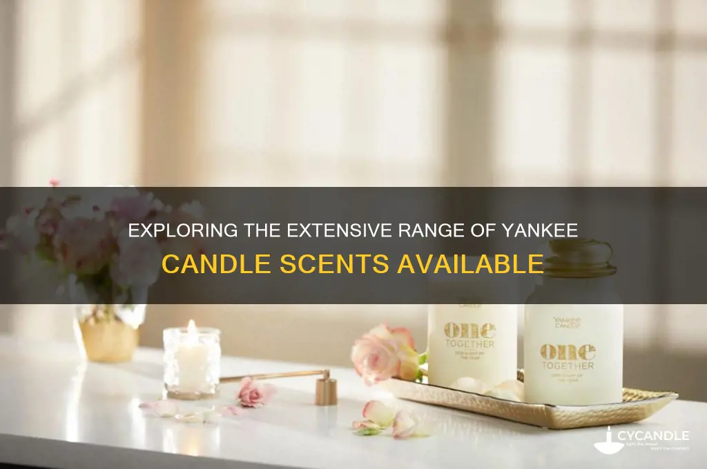 how many yankee candle scents are there