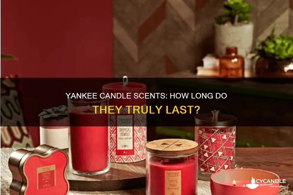 how many years does a yankee candle scent last